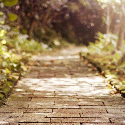 澳门新葡萄新京8883手机app下载